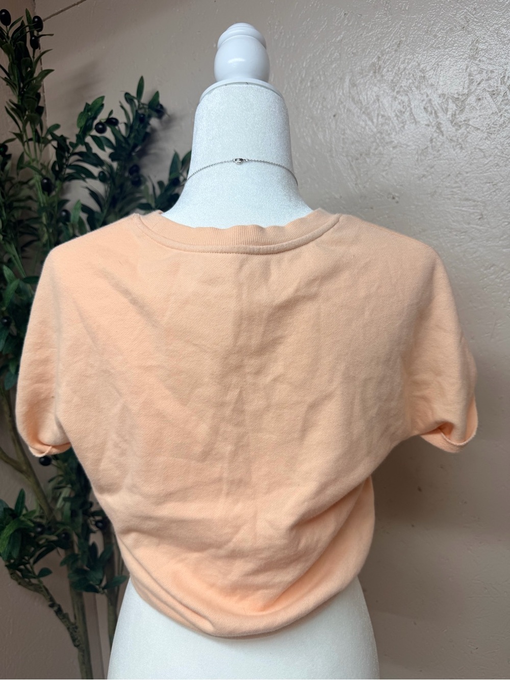 Fabletics Peach Cropped Short Sleeve Crewneck Top - Picture 4 of 4